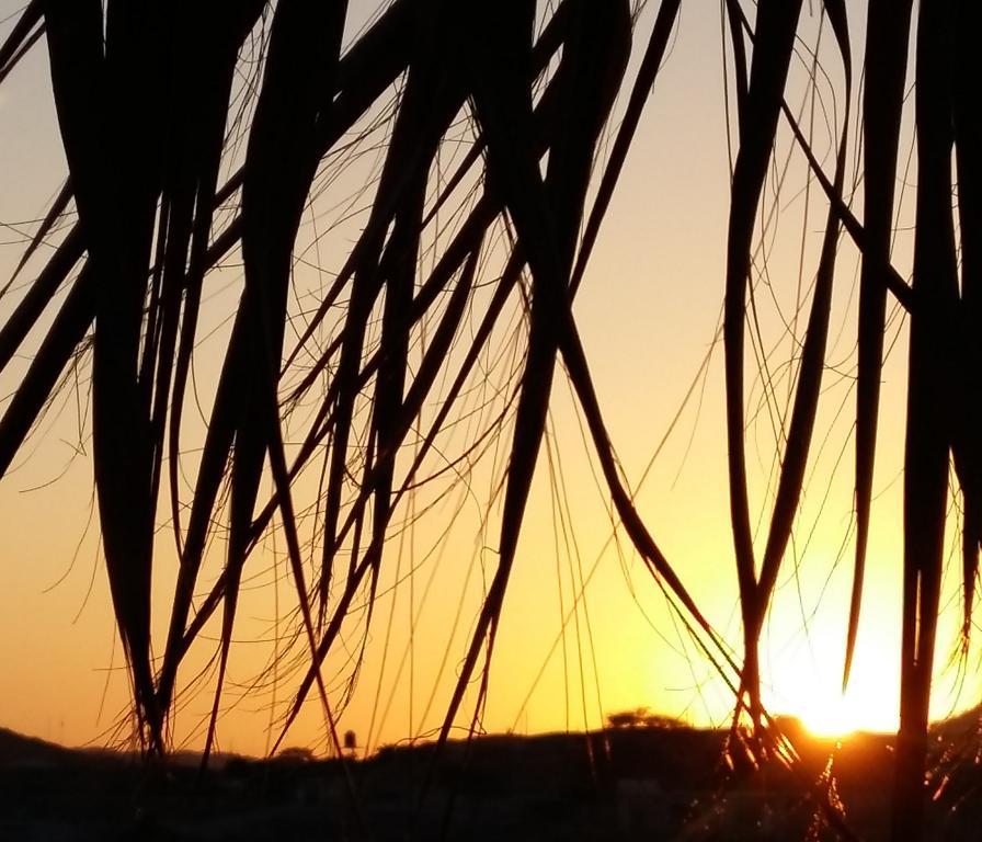 Отель Lapa Lapa Lobitos Bungalows Экстерьер фото