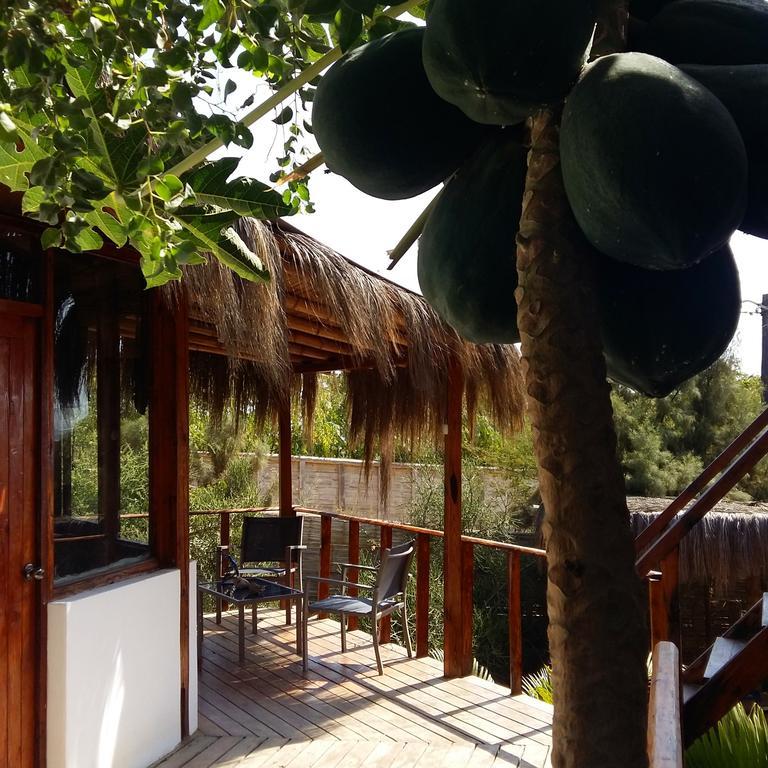Отель Lapa Lapa Lobitos Bungalows Экстерьер фото